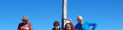 IMG-20250319-WA0010